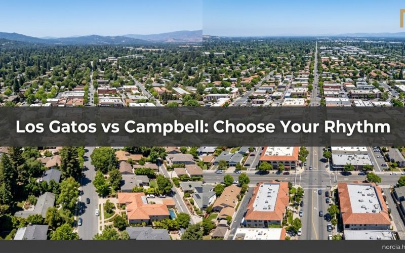 Aerial view of two distinct towns, one with dense trees and hills, the other with urban streets.