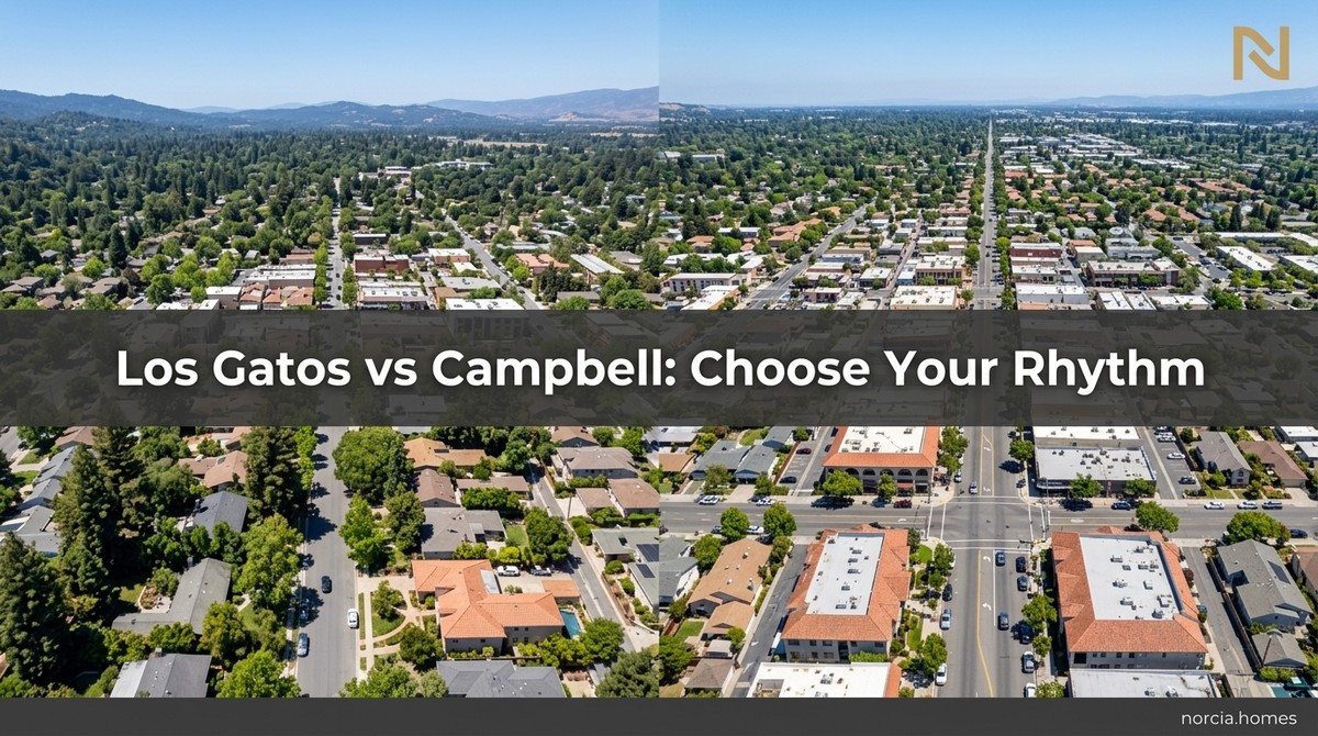 Aerial view of two distinct towns, one with dense trees and hills, the other with urban streets.